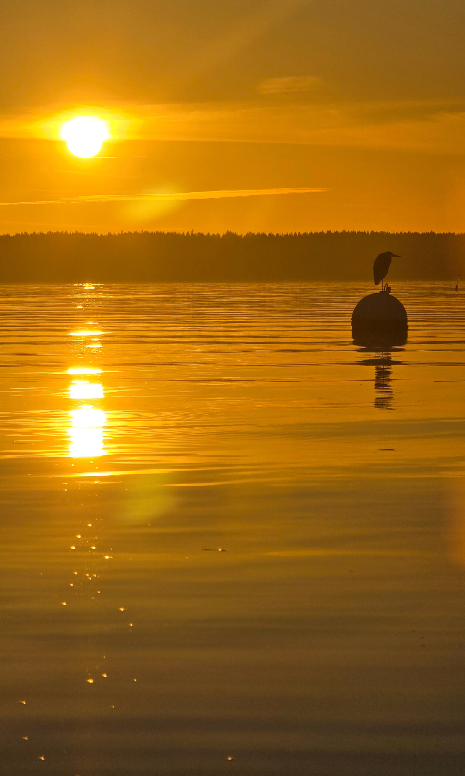 Sunset from Madrona Beach on Camano Island, Washington
