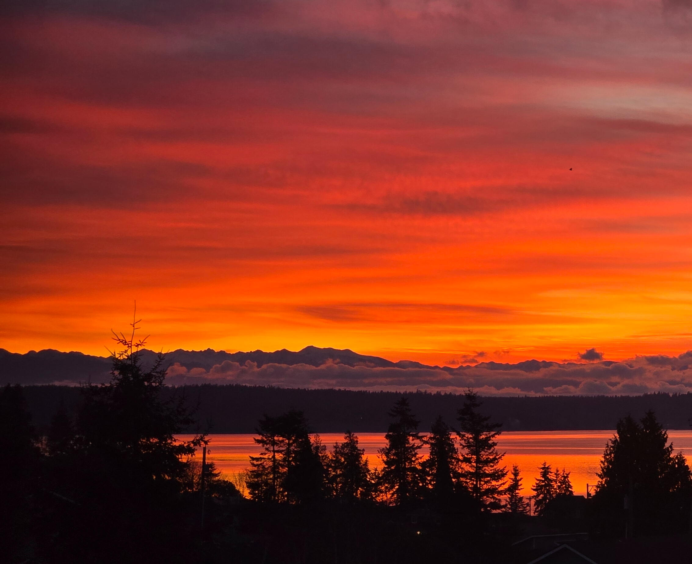 Camano Island Madrona Beach Sunset
